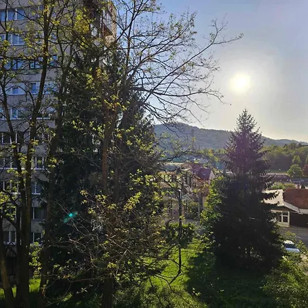 Apartment Cardaklija